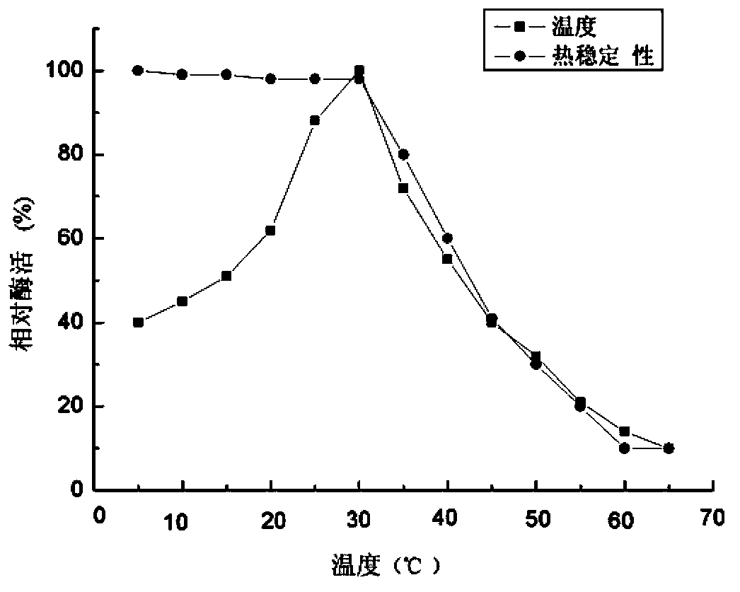 Low temperature beta-agarase and coding gene and application thereof