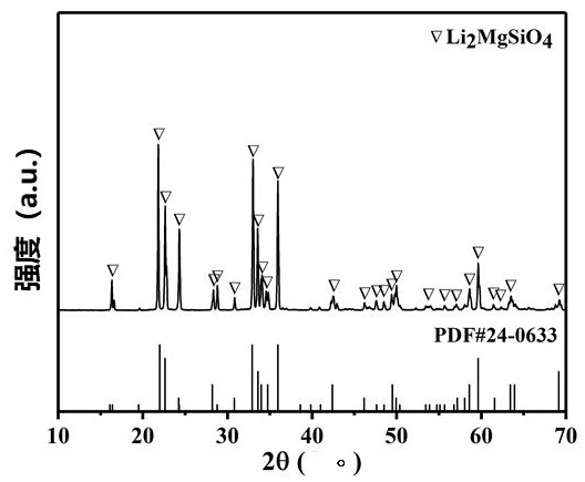 Multicellular biological composite scaffold, preparation method and application thereof