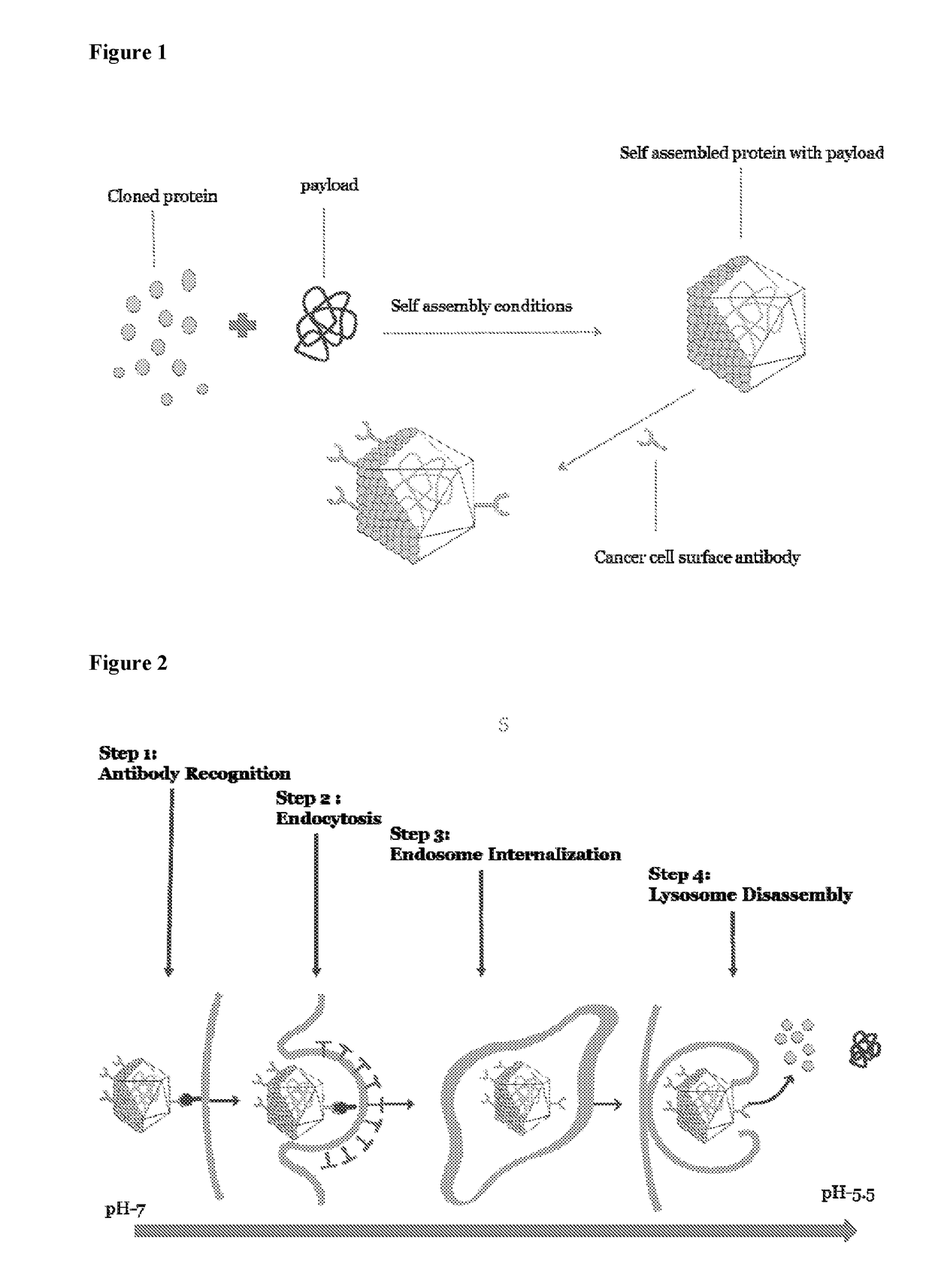 Self assembling molecules for targeted drug delivery