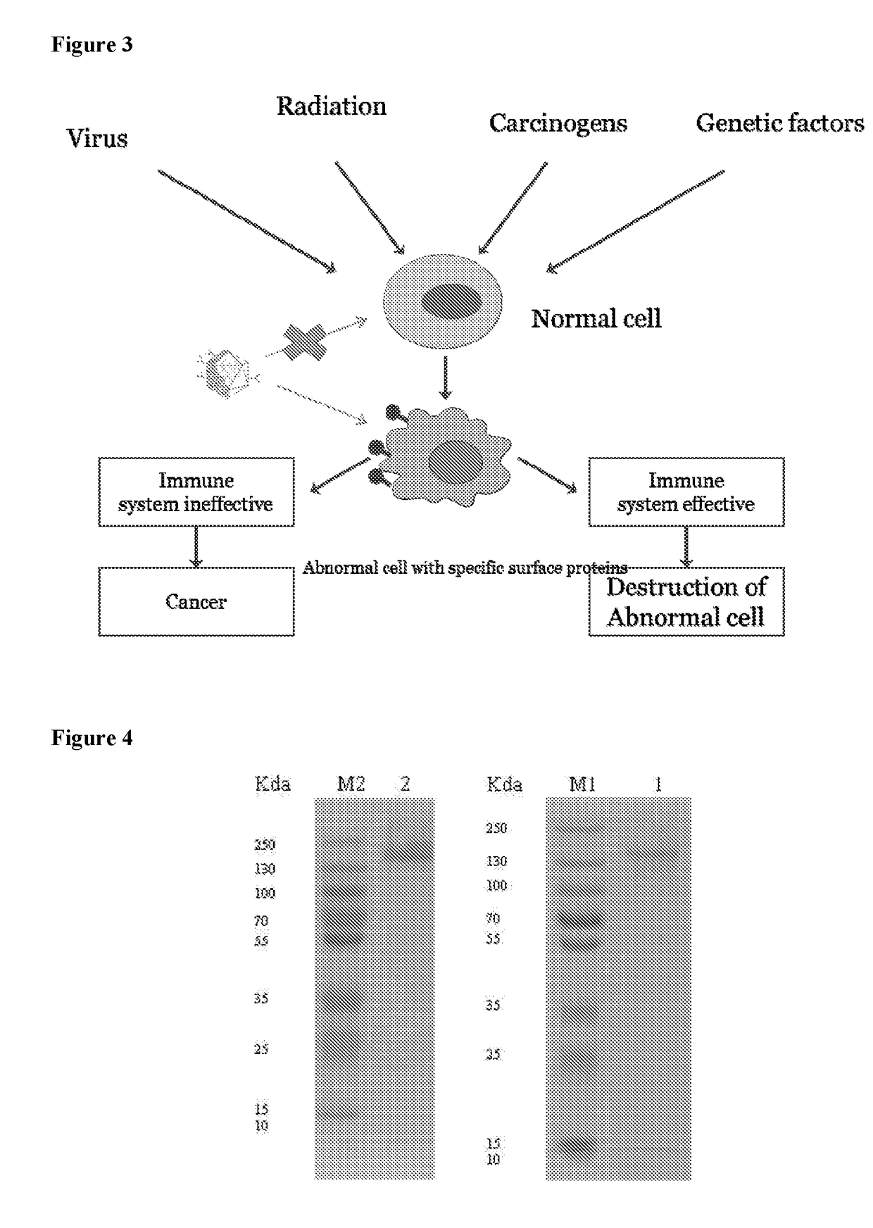 Self assembling molecules for targeted drug delivery