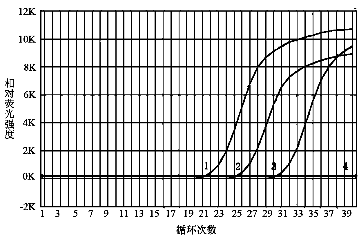 Fluorescent probe PCR (polymerase chain reaction) method for simultaneously detecting Edwardsiella tarda and Edwardsiella ictaluri