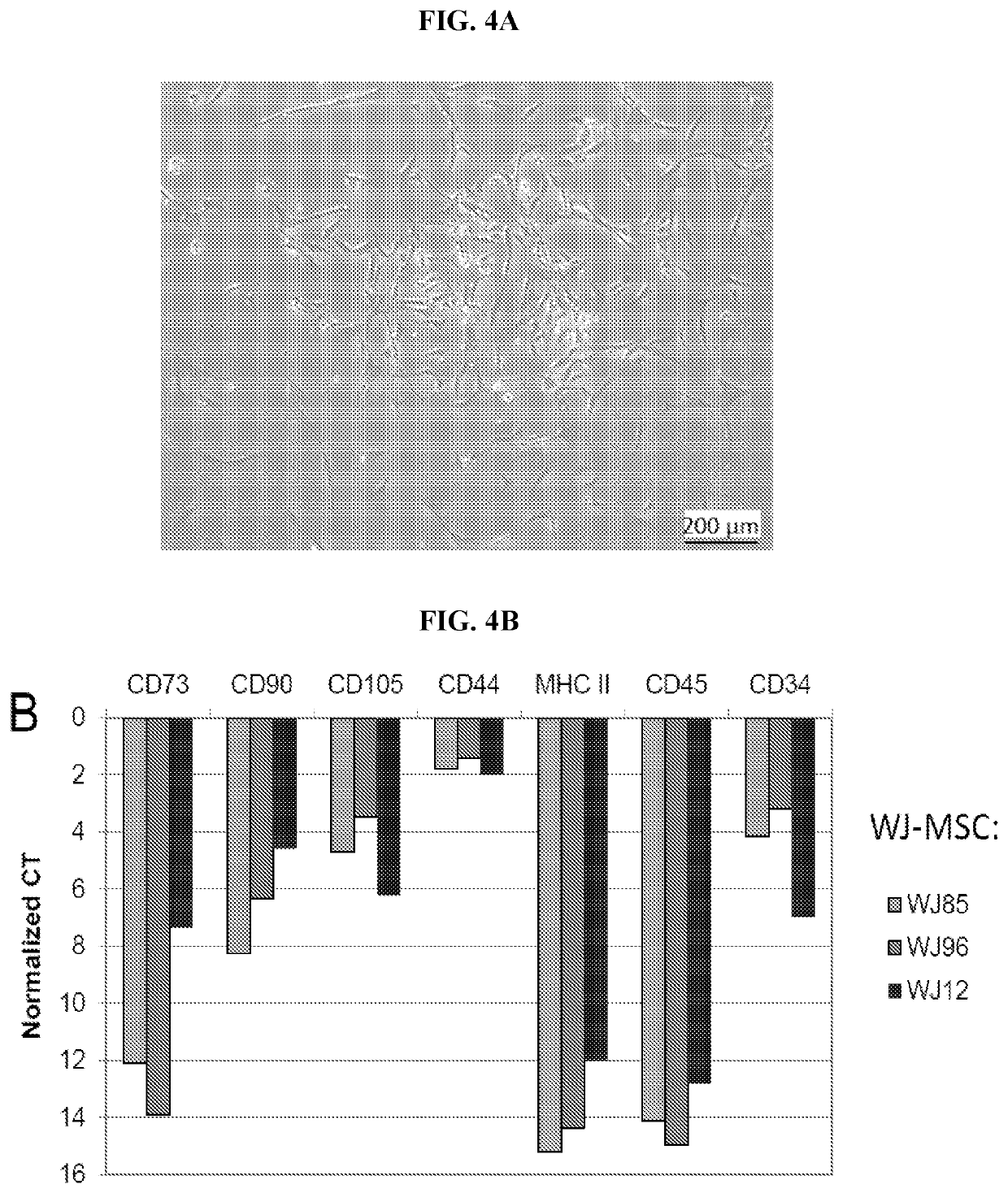 Extracellular vesicles comprising membrane-tethered tgf-beta, compositions and methods of use thereof