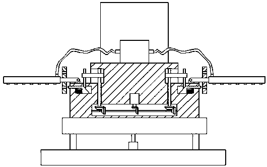 Novel feed feeding device