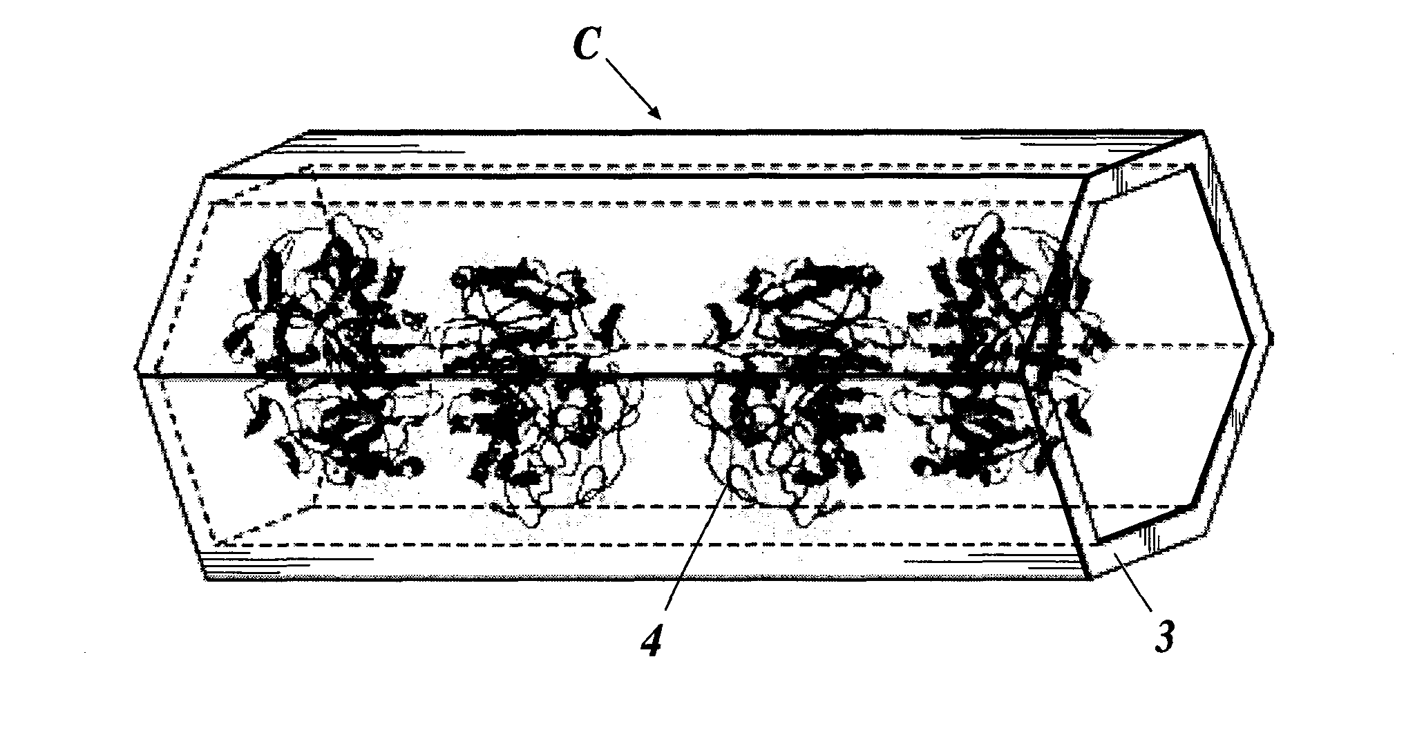 Enzyme Electrode and Enzyme Sensor