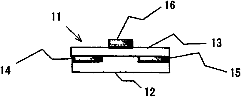 Single crystal thin film of organic semiconductor compound and method for producing the same