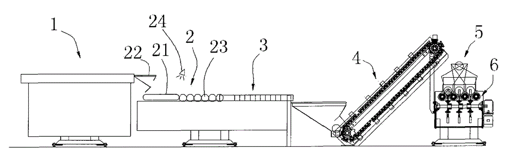 Onion peeling method and peeling machine