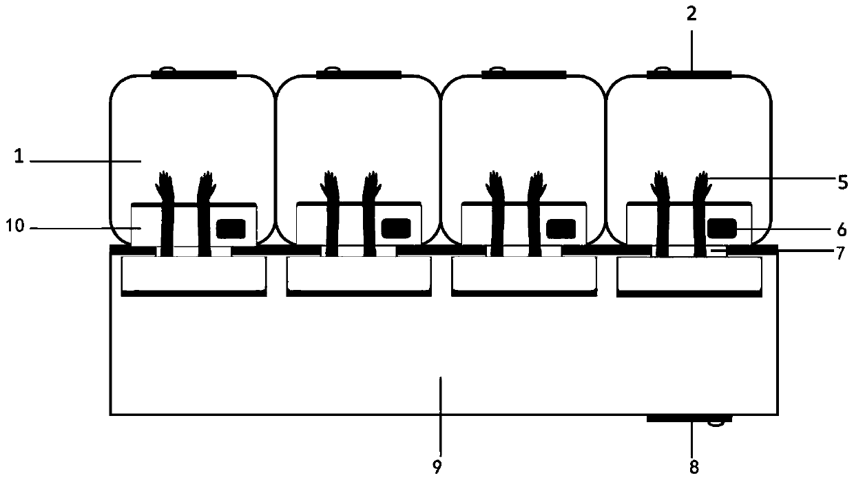 Medical negative pressure sample sampling cabin and sampling method