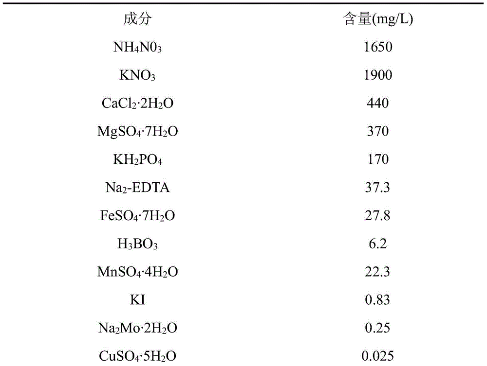 Method for obtaining orange filial generation through embryo rescuing