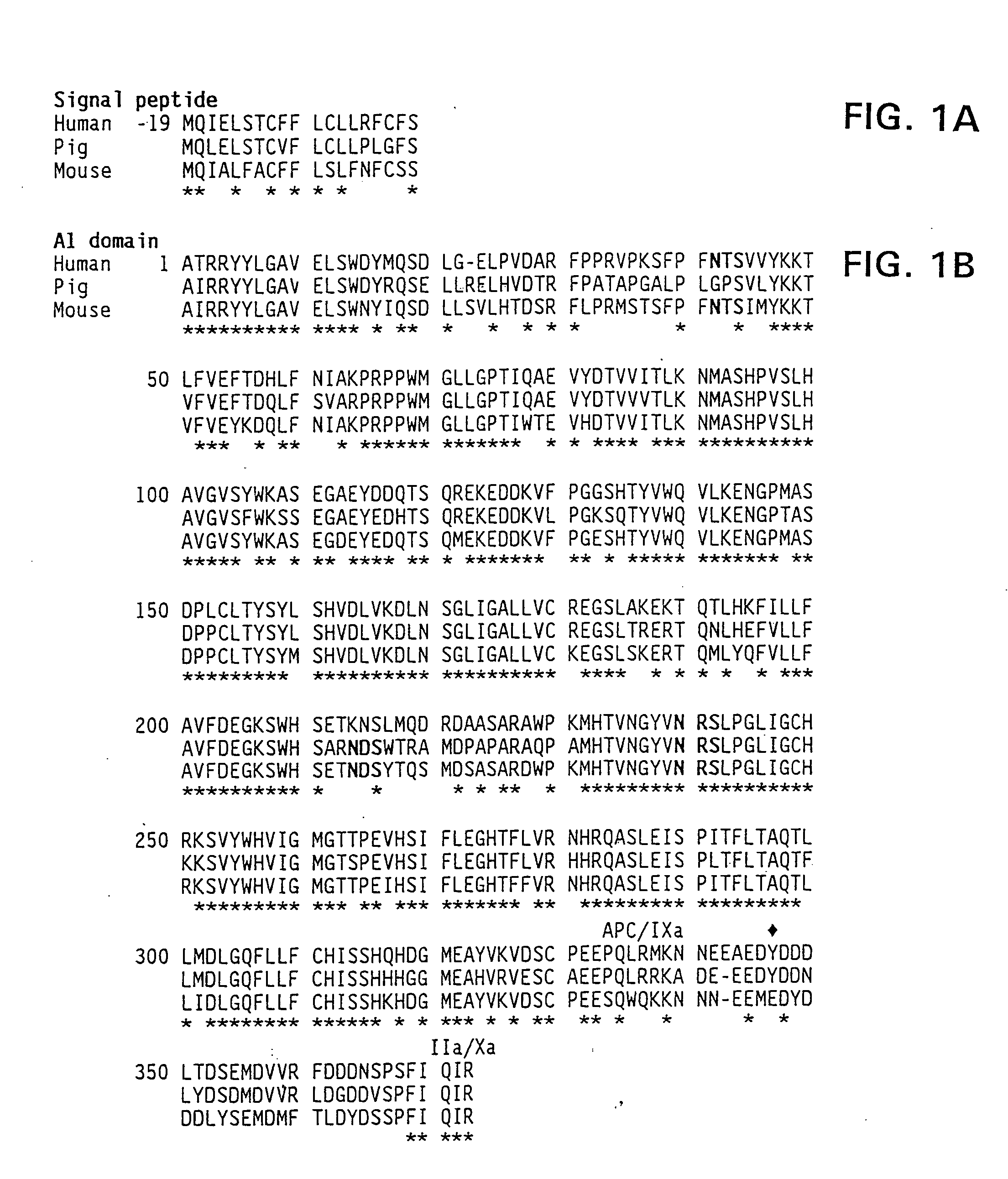 Modified factor VIII