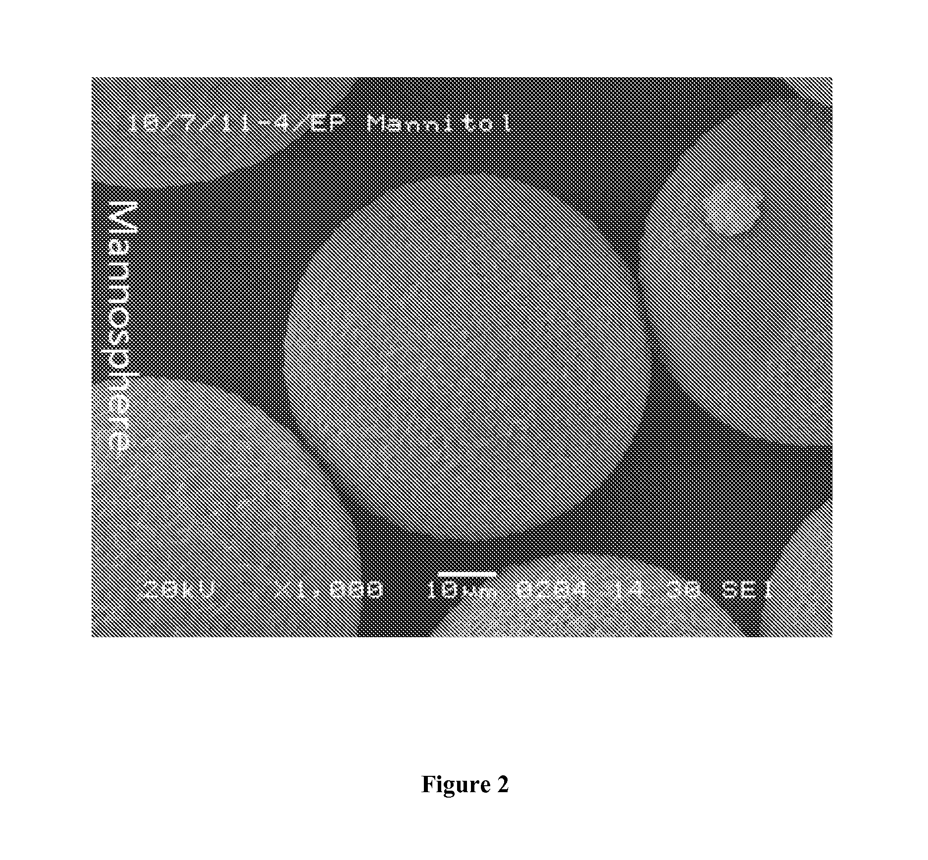 Crystalline microspheres and the process for manufacturing the same