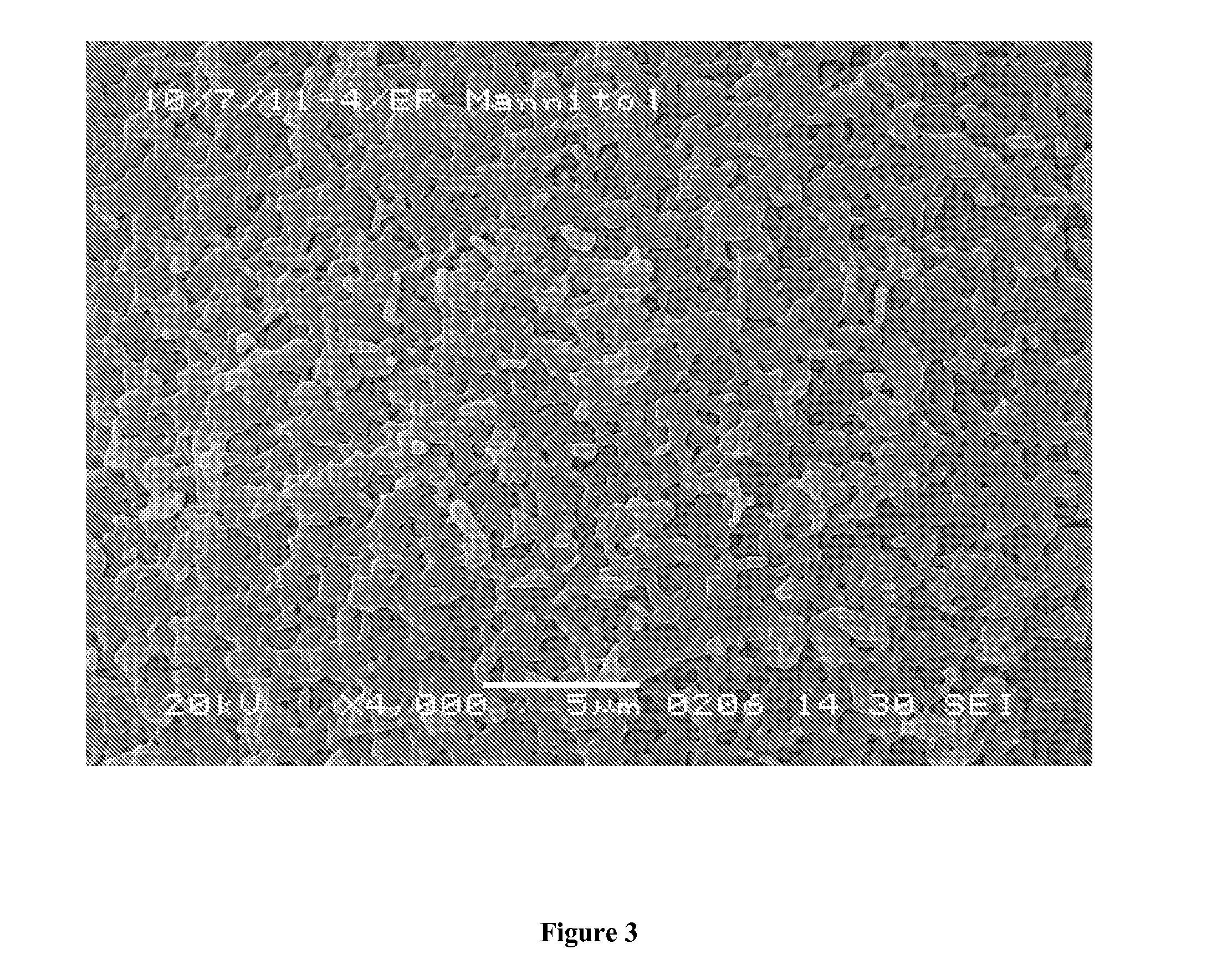 Crystalline microspheres and the process for manufacturing the same