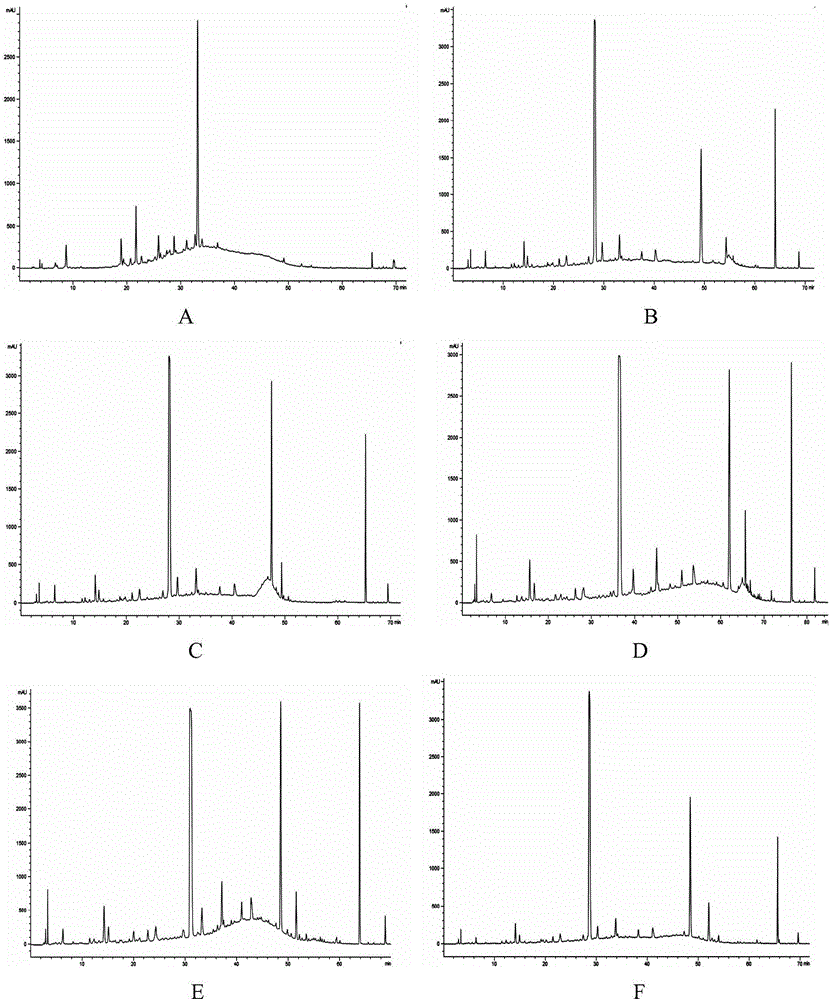 Raw fleece-flower root HPLC fingerprint detection method