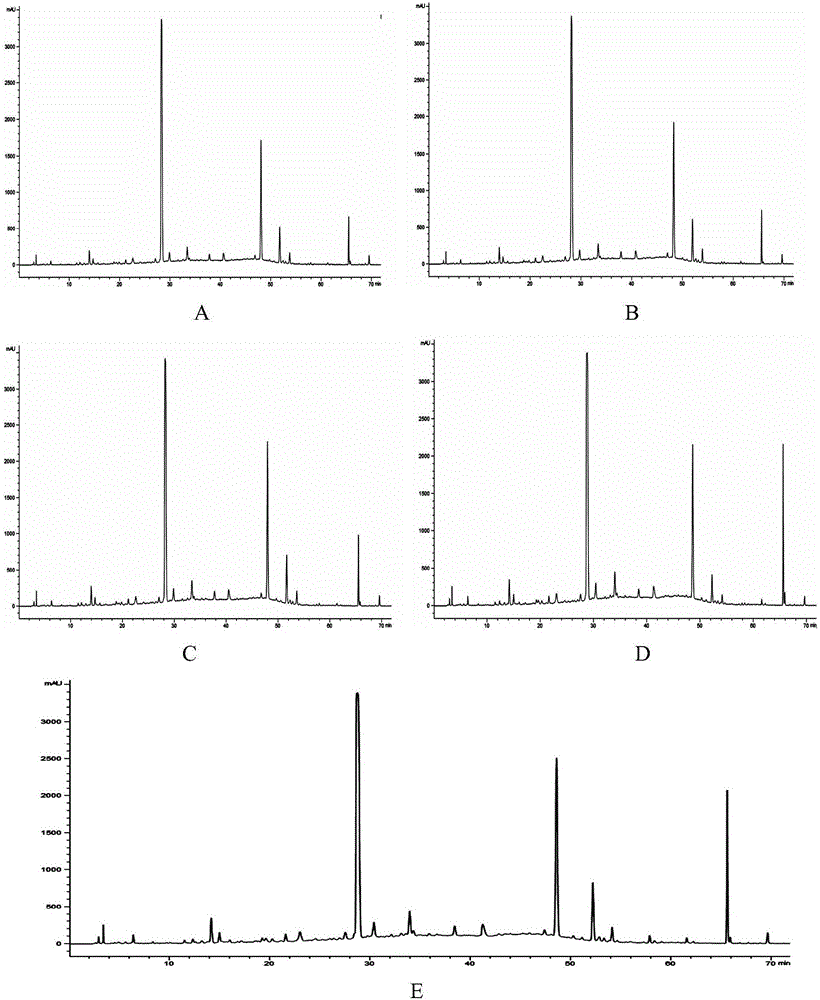 Raw fleece-flower root HPLC fingerprint detection method