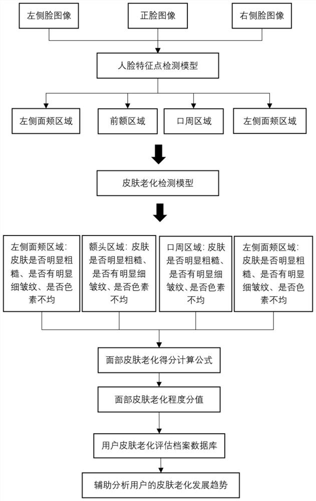 A method, system and device for identifying skin aging degree based on artificial intelligence