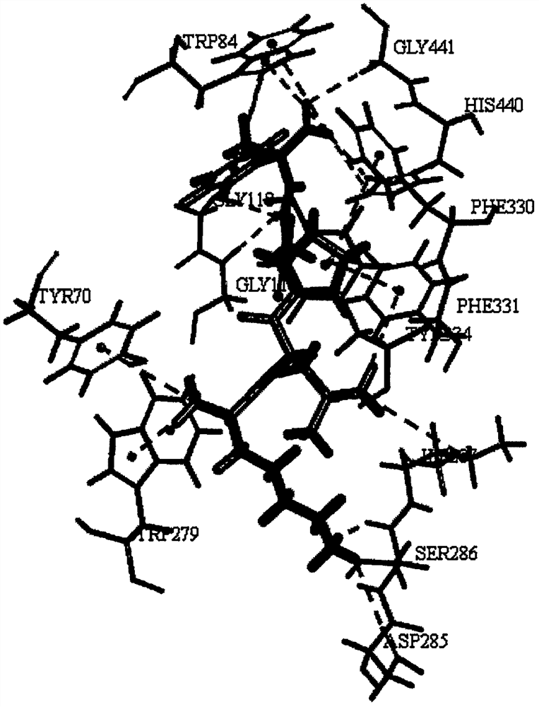 Application of a pentapeptide klpgf to inhibit ache activity