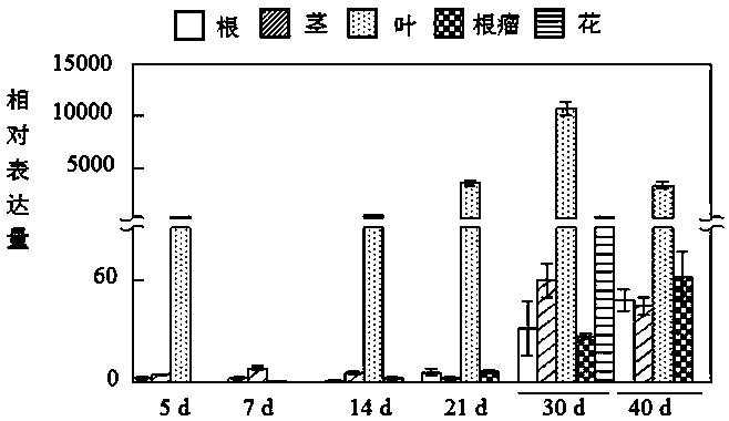 Application of florigen gene GmFT2a