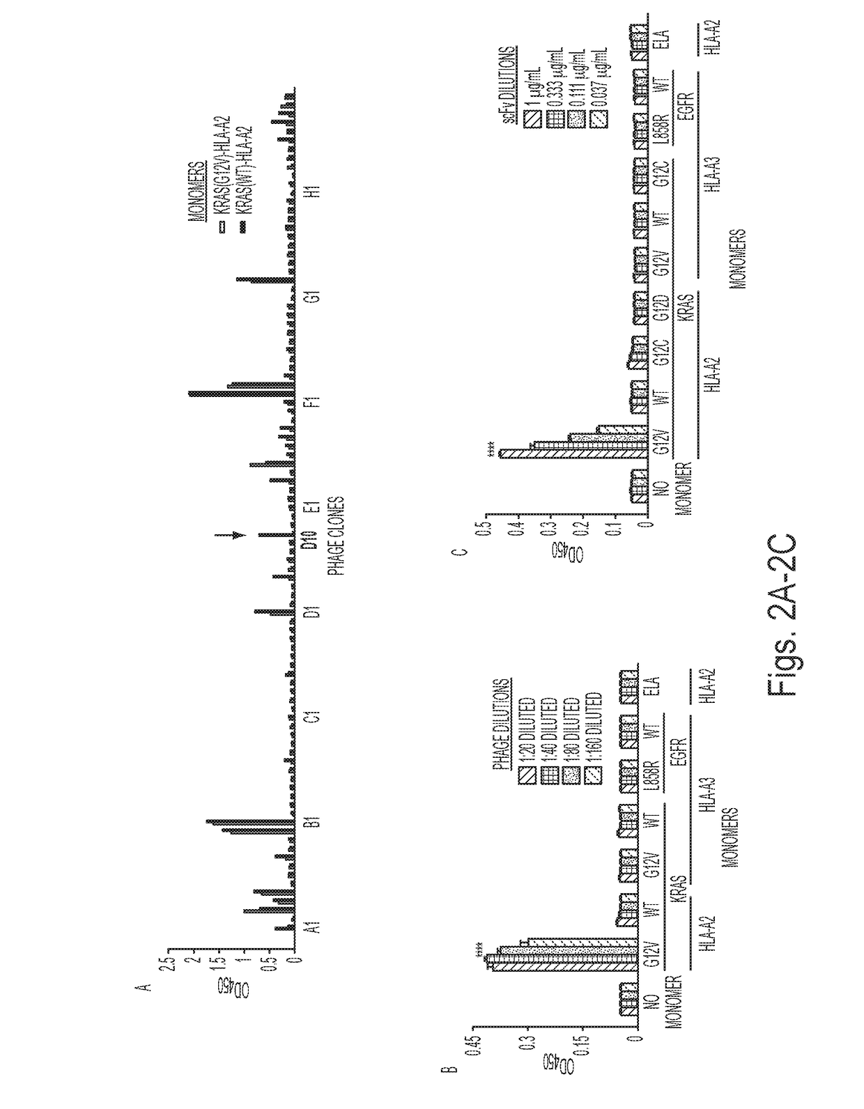 Hla-restricted epitopes encoded by somatically mutated genes