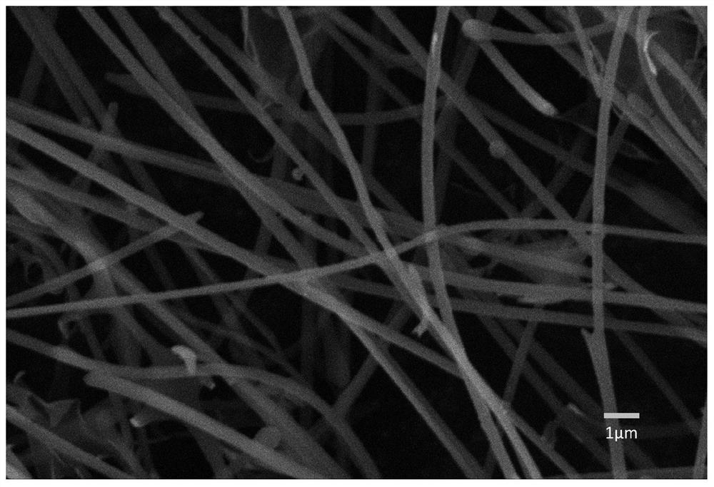 Method for preparing lignin nanotube by utilizing agriculture and forestry biomass raw materials