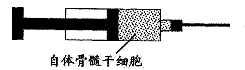 Spiral tube membrane and preparation and application thereof