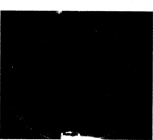 Process for preparing functional heat transfer surface