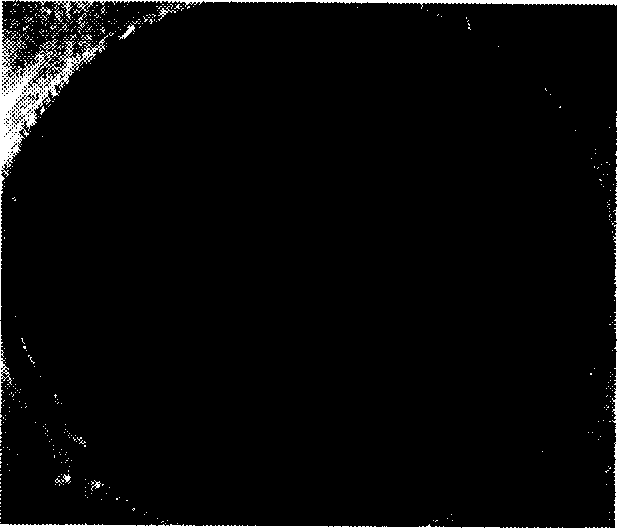 Process for preparing functional heat transfer surface