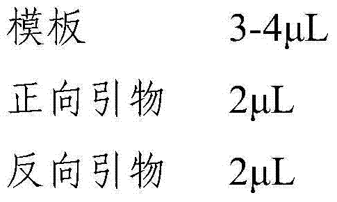 DNA (Deoxyribonucleic Acid) sequence of meiiones unguiculataus