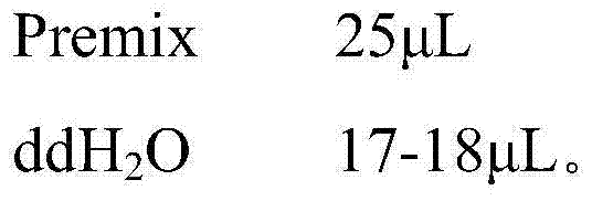 DNA (Deoxyribonucleic Acid) sequence of meiiones unguiculataus