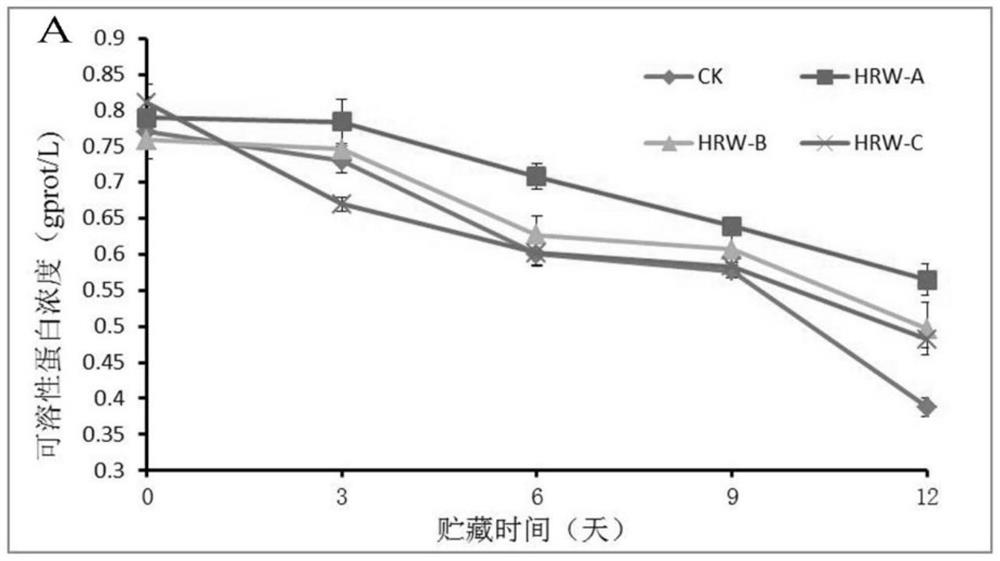 A method for prolonging the shelf life and improving the quality of Adynas japonica using hydrogen-rich water