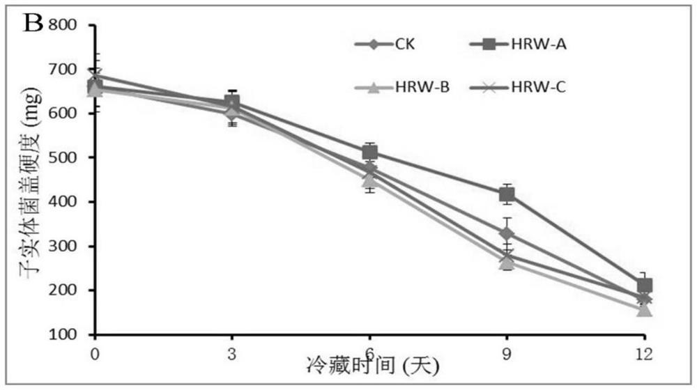 A method for prolonging the shelf life and improving the quality of Adynas japonica using hydrogen-rich water