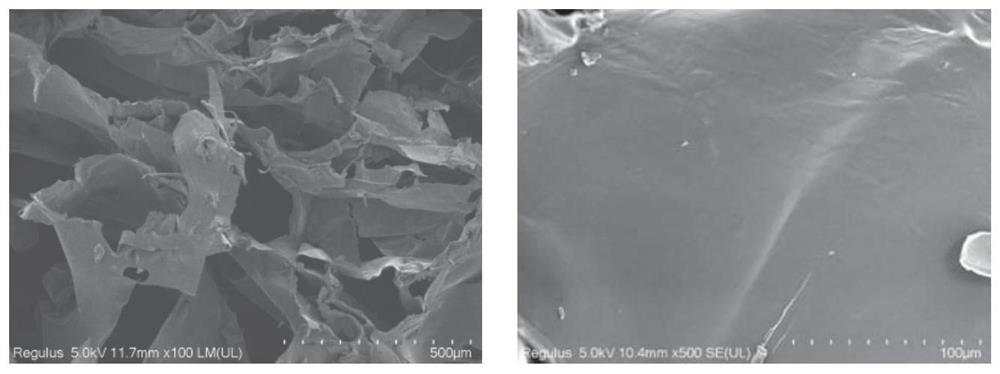 Food-based pH sensitive hydrogel and preparation method thereof