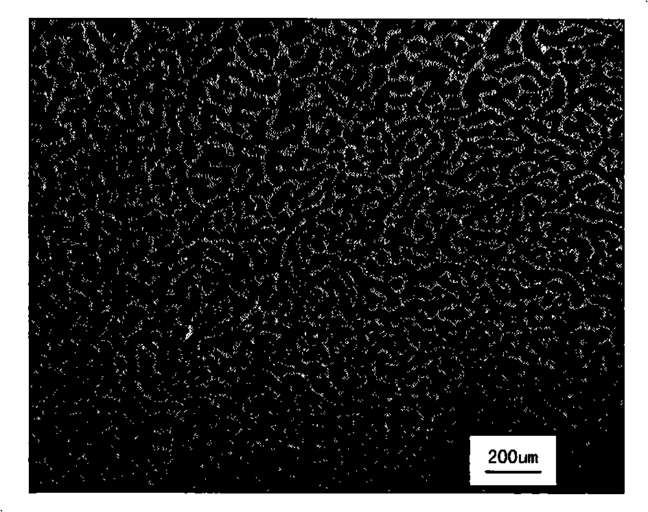 Blending polymer shape memory material and preparation method thereof