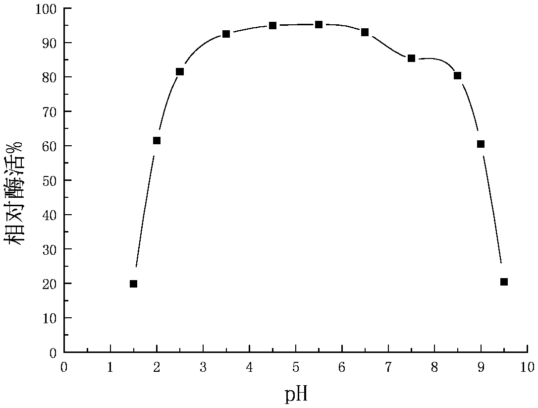 A Bacillus coagulans strain and a liquid fermentation enzyme production method thereof