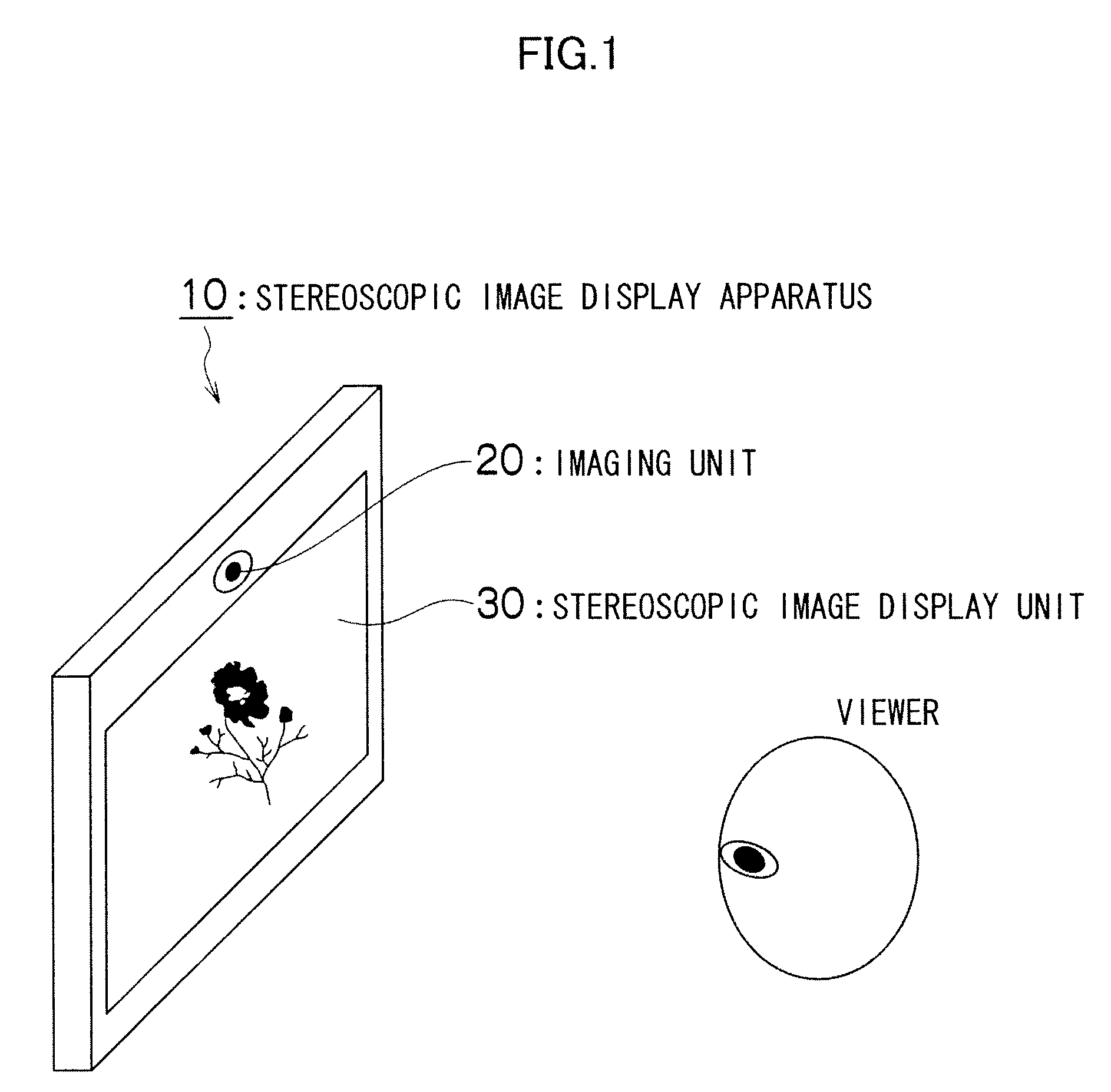 Stereoscopic image display apparatus