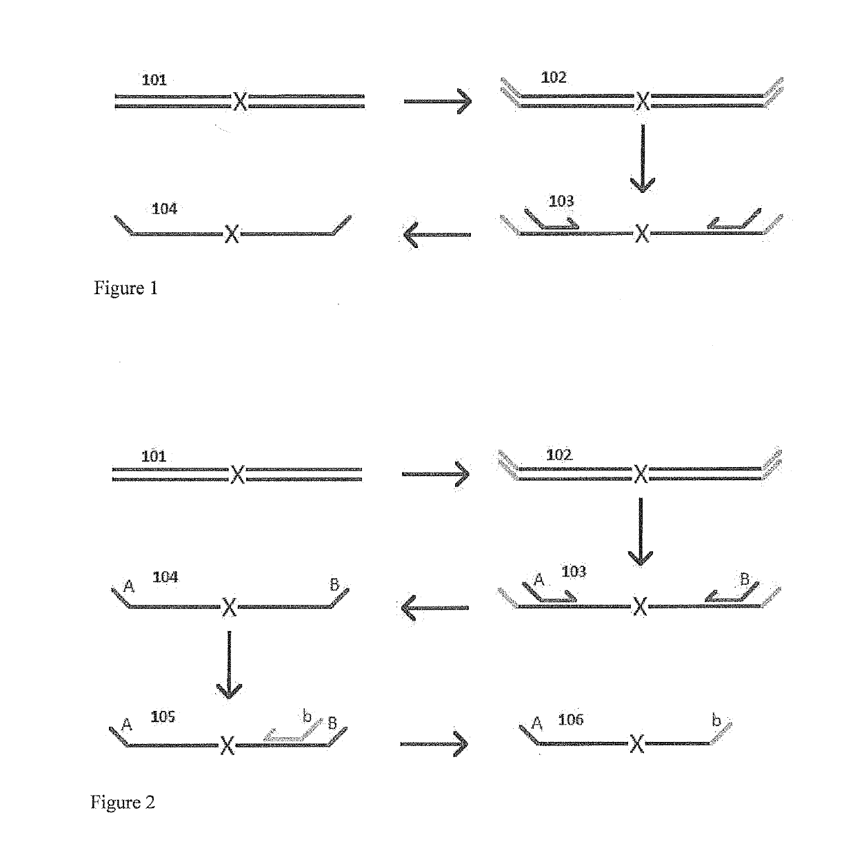 Methods for non-invasive prenatal ploidy calling