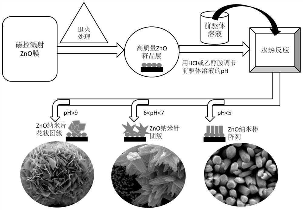 Method for realizing evolution of various nano morphologies of zinc oxide