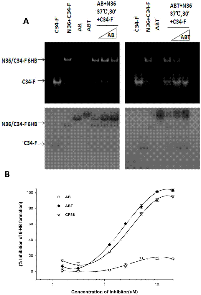 Long-acting HIV-1 membrane fusion inhibitor