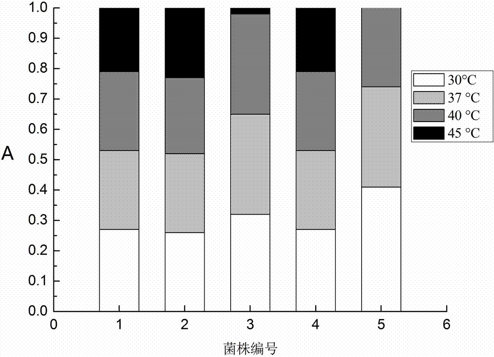 Low-yield fusel oil saccharomyces cerevisiae and application thereof in mechanical production of Xiaoqu base wine