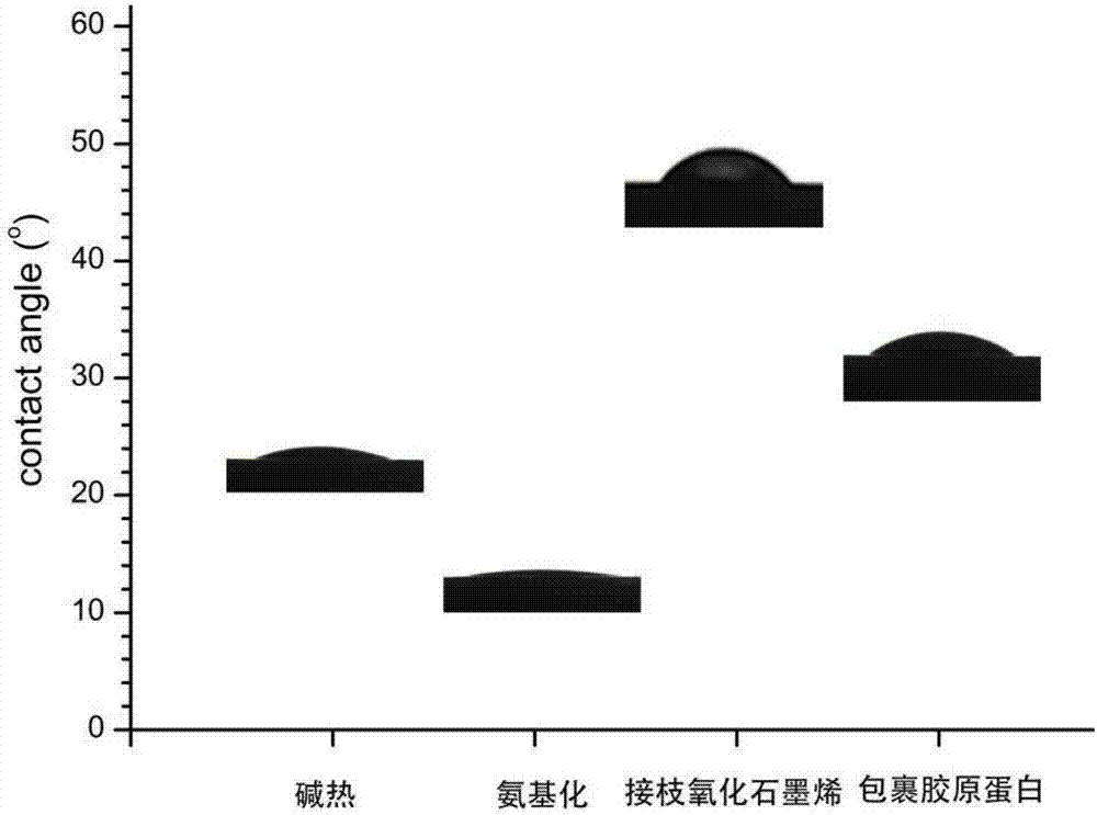 Preparation method of graphene oxide/nanosilver coating wrapped by collagen film