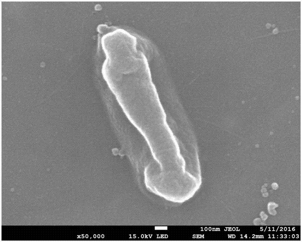 Preparation method of graphene oxide/nanosilver coating wrapped by collagen film