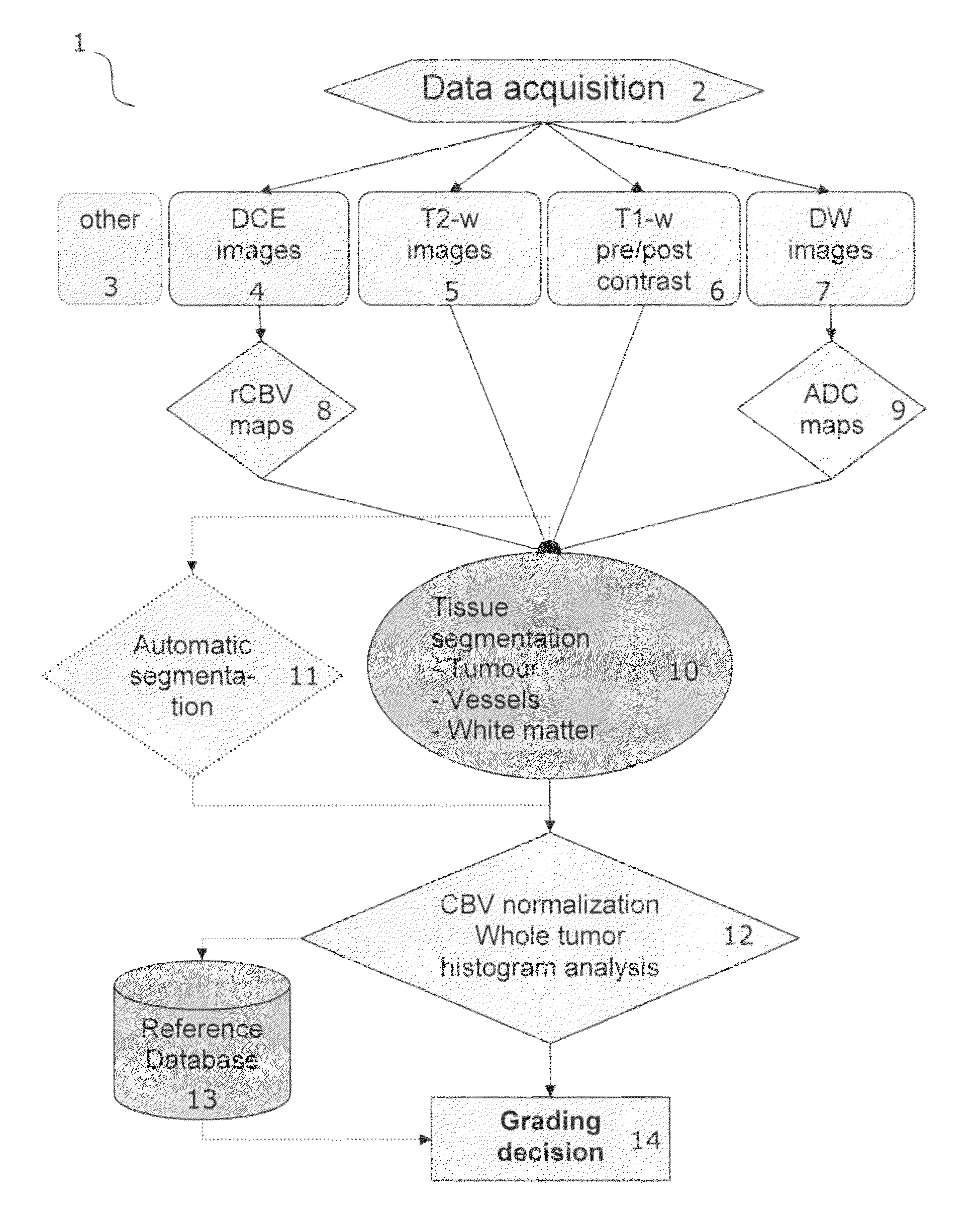 Tumor grading from blood volume maps