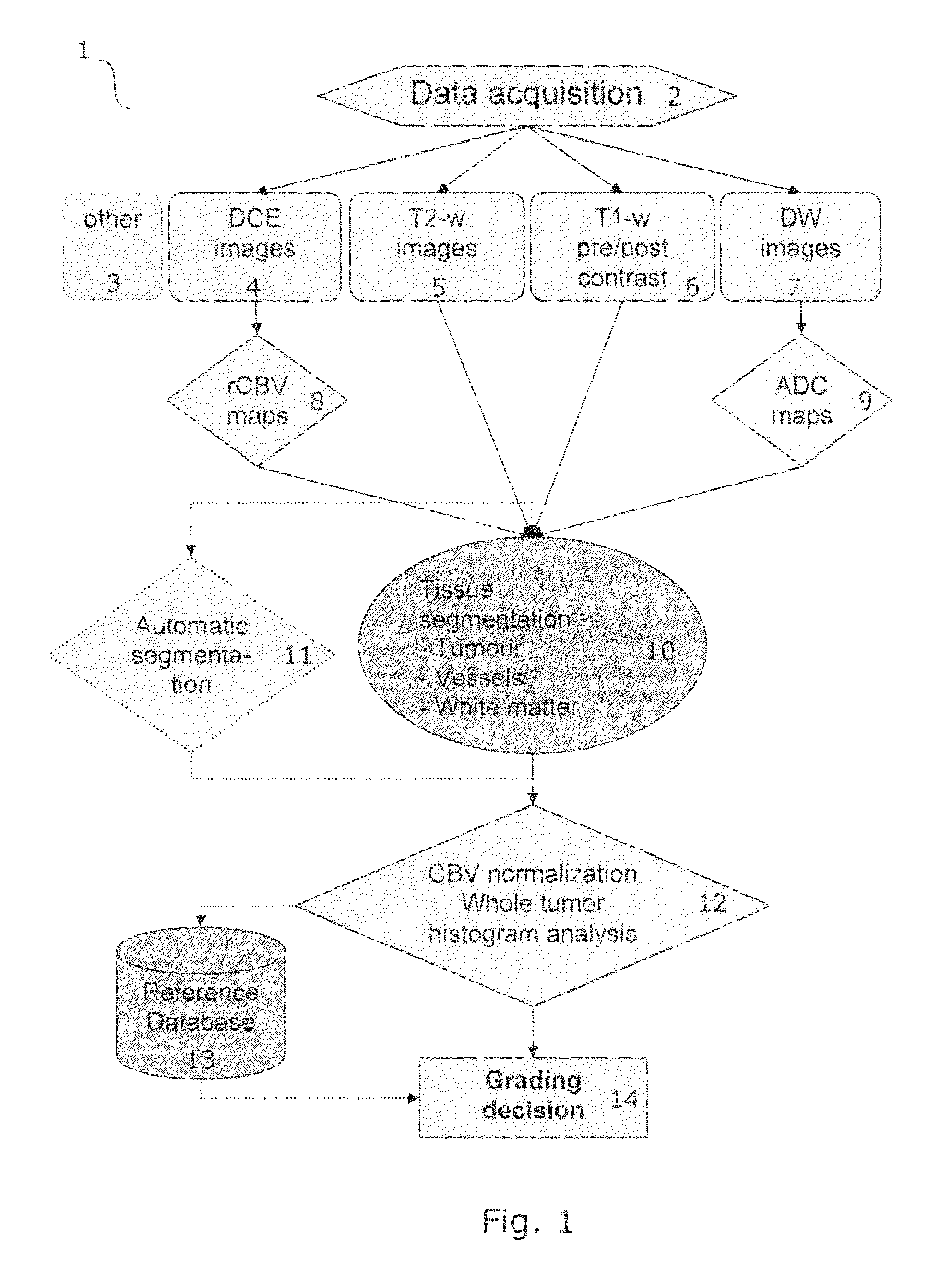 Tumor grading from blood volume maps