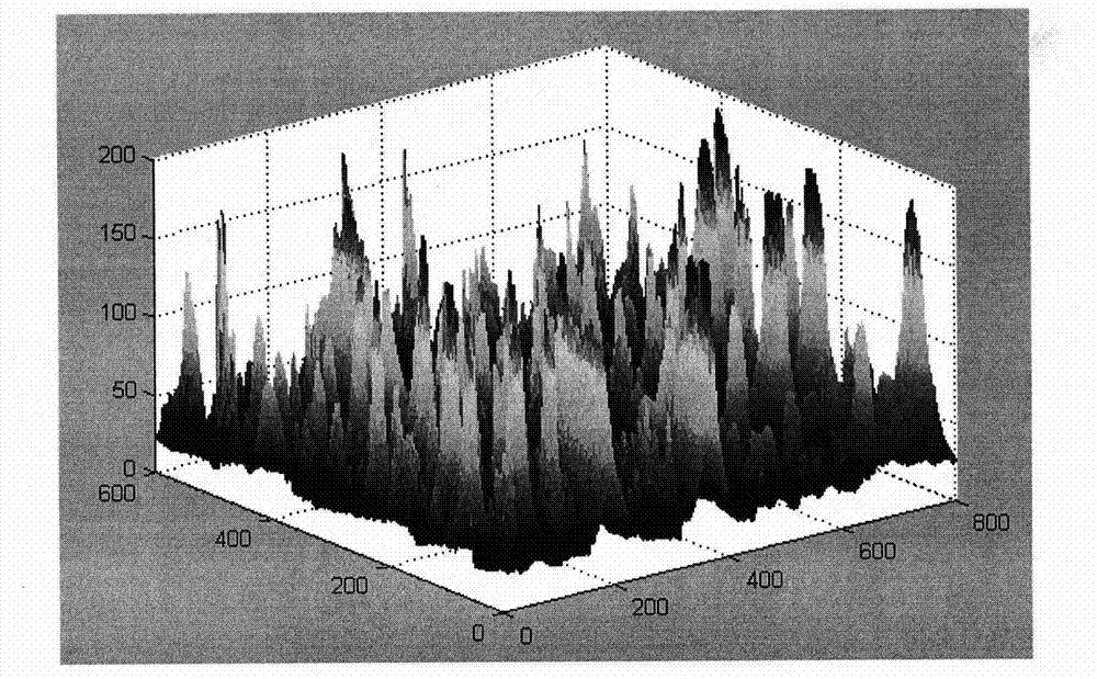 Improved foam image segmentation method based on watershed transformation