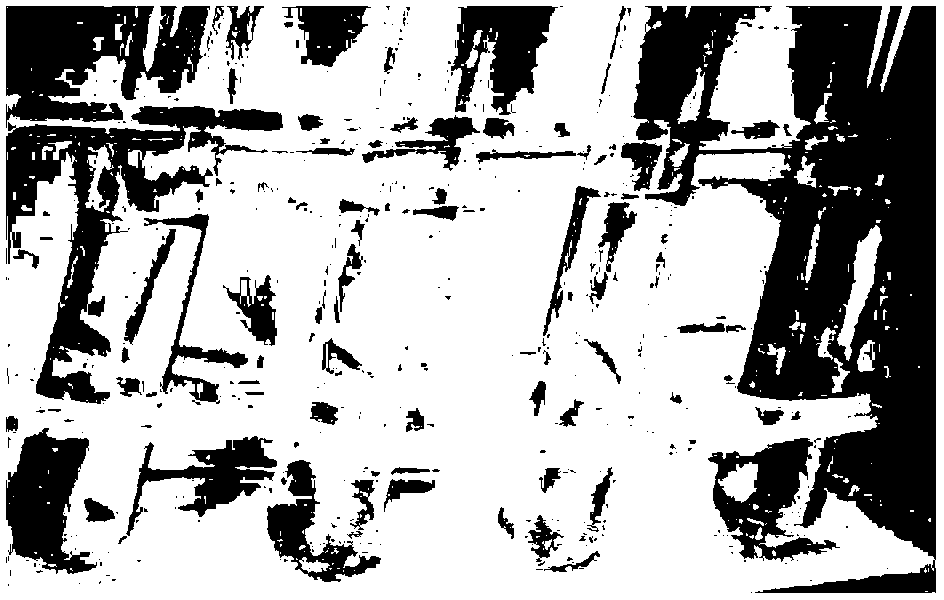 Camellia oil microemulsion and preparation method thereof