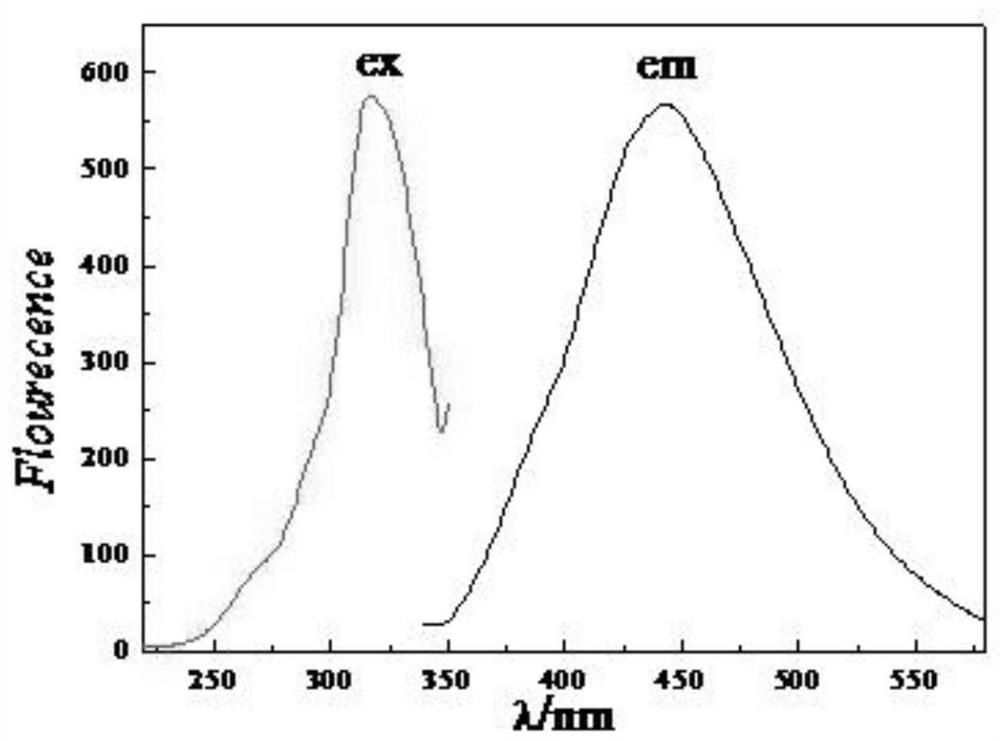 A method for preparing fluorescent carbon dots using chloroplast as carbon source