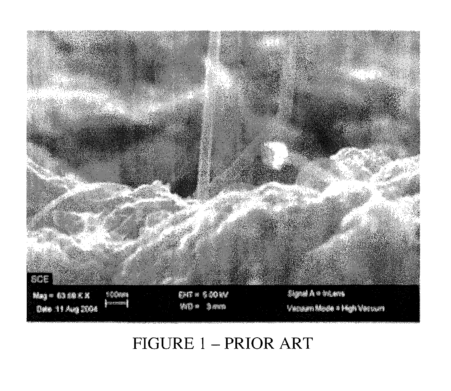 Catalytic adsorbents obtained from municipal sludges, industrial sludges, compost and tobacco waste and a rotary drying process for their production