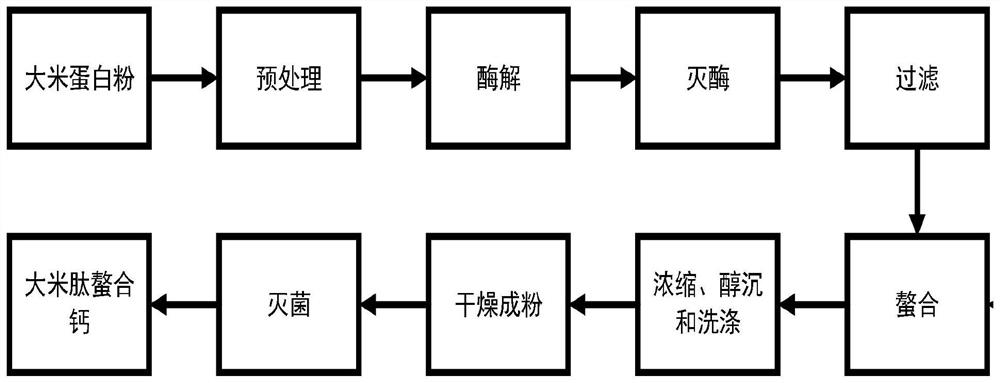 Preparation method of rice peptide chelated calcium