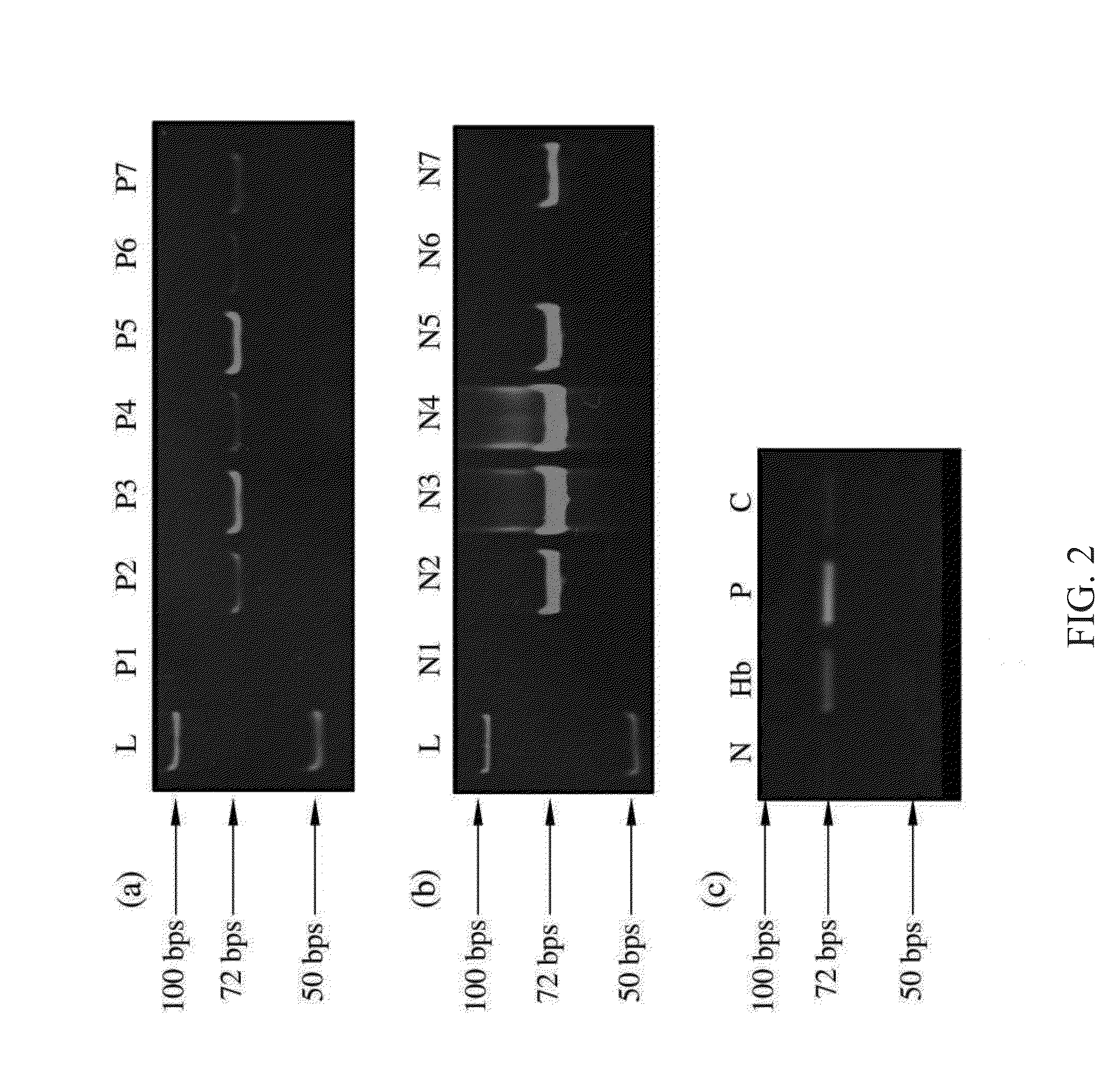 HEMOGLOBIN A1c-SPECIFIC APTAMER, HEMOGLOBIN-SPECIFIC APTAMER, AND APPLICATIONS THEREOF