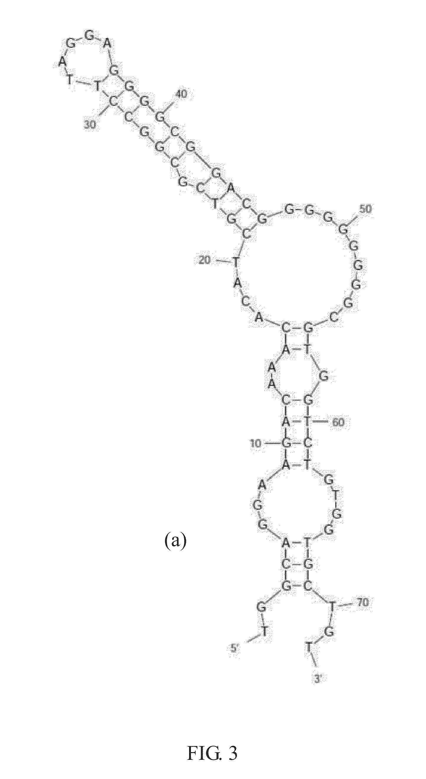 HEMOGLOBIN A1c-SPECIFIC APTAMER, HEMOGLOBIN-SPECIFIC APTAMER, AND APPLICATIONS THEREOF