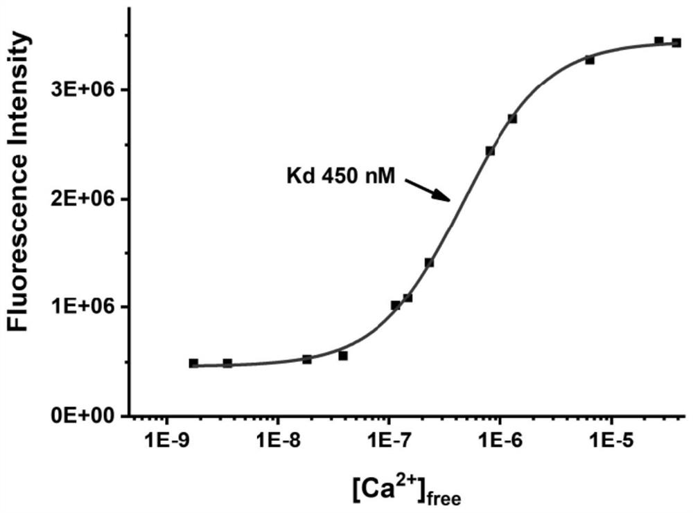 Method for detecting content of water-soluble calcium in dried oysters