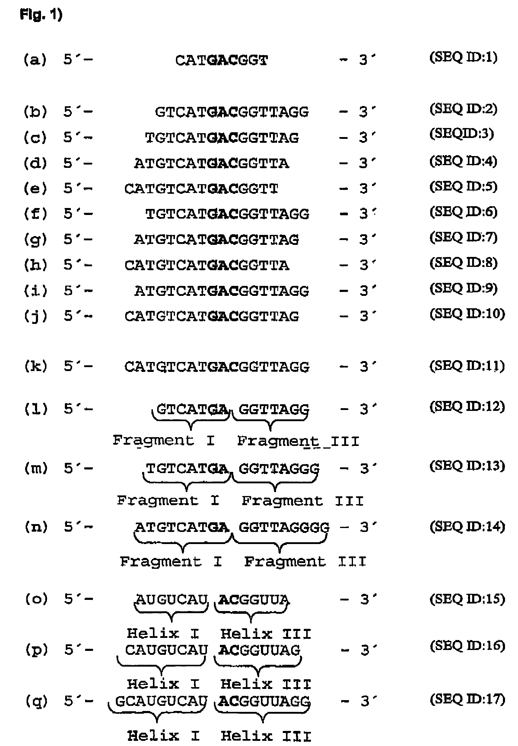 Antisense oligonucleotides against VR1